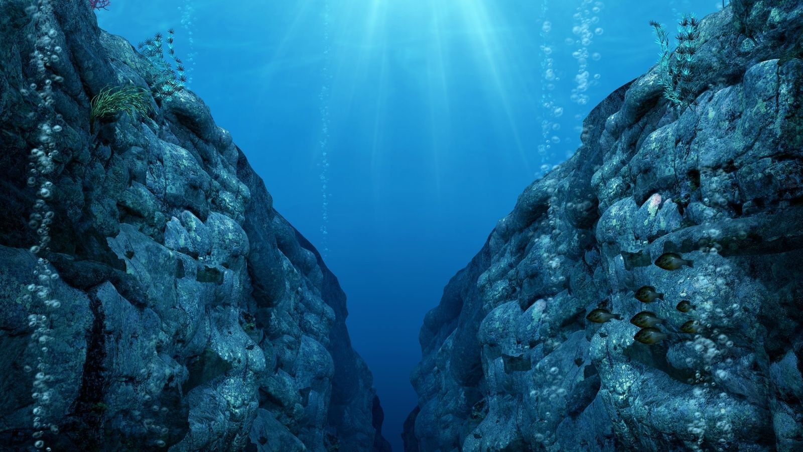 Underwater scene of a deep, rocky trench with rays of light shining through the blue water. Small fish swim near rocks decorated with sparse seaweed.