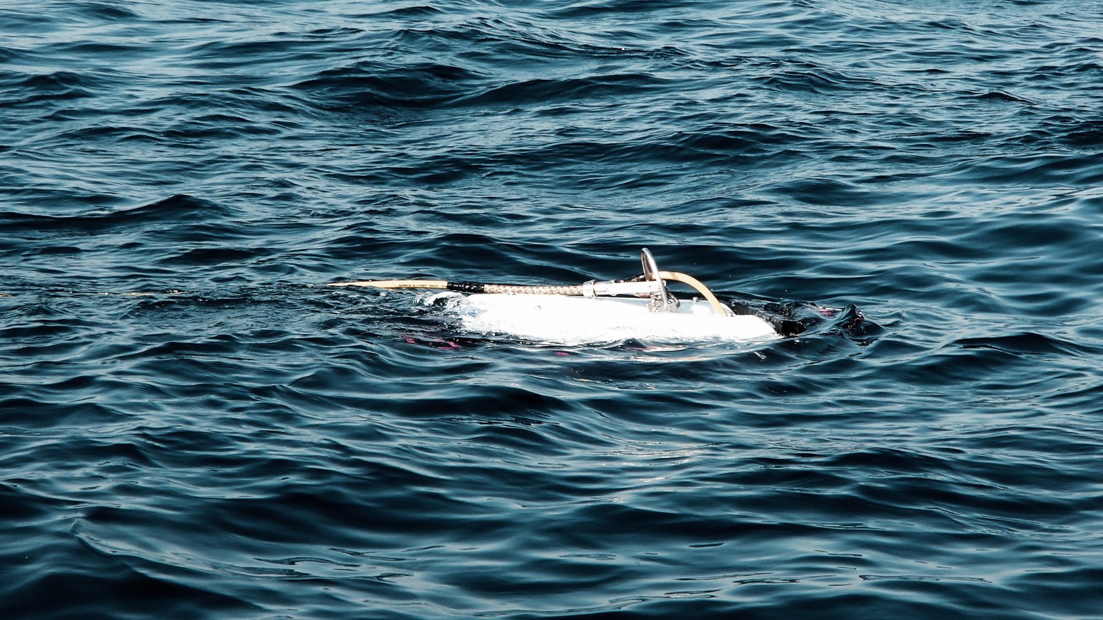 Ocean-Research-II-shutterstock_1063867793_redigerad-1600x900